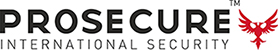 PROSECURE Consulting Inc.