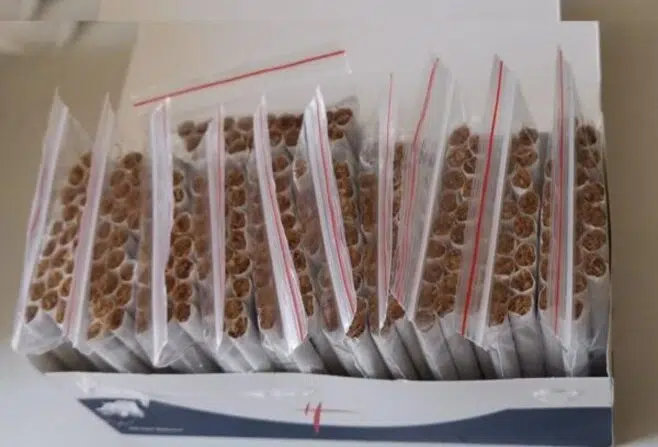 Makaron ve kaçak sigara ile mücadele